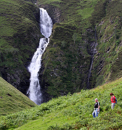 grey mares tail nature reserve