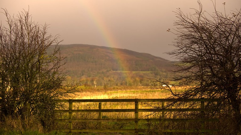 mersehead nature reserve