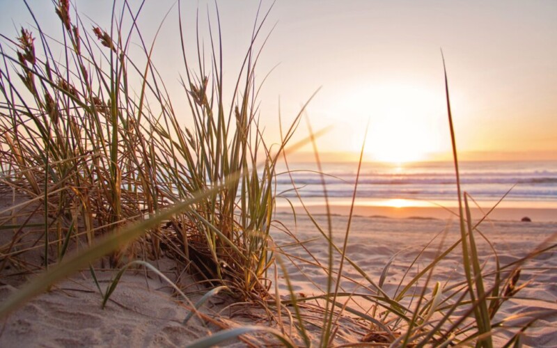Watch the sunrise from the sand dunes