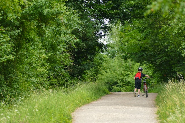 cyclist on his bike on a forest road
