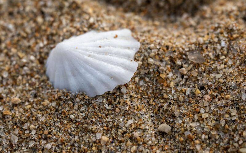 Luce Bay Holiday Park Galloway Beachcombing