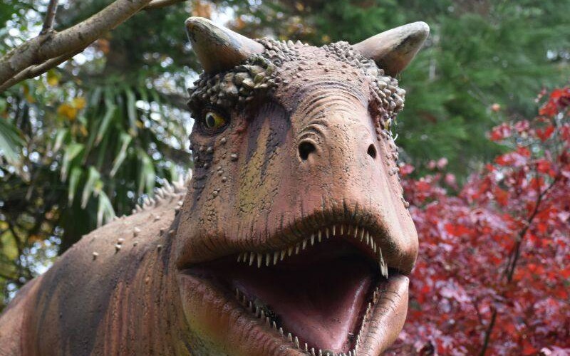 Luce Bay Holiday Park Galloway Dinosaur Trail